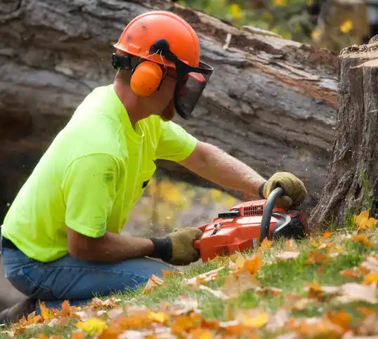 tree services Sunset Hills